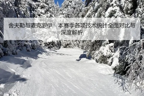 舍夫勒与麦克罗伊：本赛季各项技术统计全面对比与深度解析