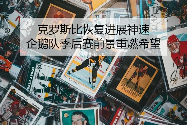 克罗斯比恢复进展神速 企鹅队季后赛前景重燃希望