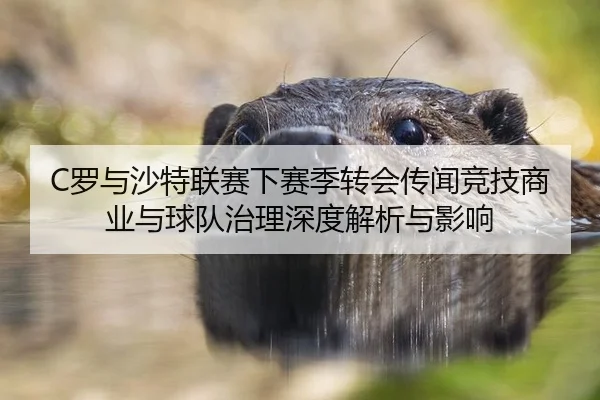 luo-yu-sha-te-lian-sai-xia-sai-ji-zhuan-hui-chuan-wen-jing-ji-shang-ye-yu-qiu-dui-zhi-li-shen-du-jie-xi-yu-ying-xiang-2-940.jpg