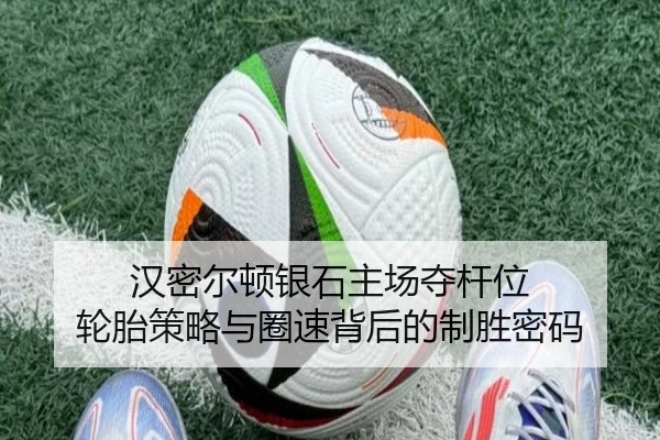 han-mi-er-dun-yin-shi-zhu-chang-duo-gan-wei-lun-tai-ce-lve-yu-quan-su-bei-hou-de-zhi-sheng-mi-ma-3-643.jpg