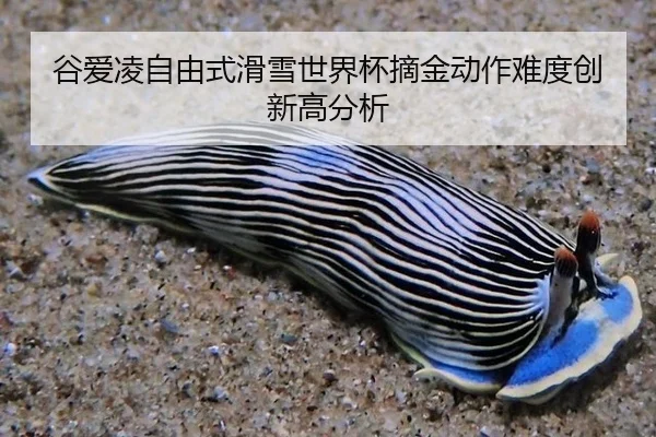 gu-ai-ling-zi-you-shi-hua-xue-shi-jie-bei-zhai-jin-dong-zuo-nan-du-chuang-xin-gao-fen-xi-2-239.jpg