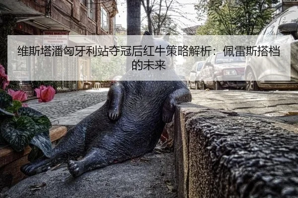 维斯塔潘匈牙利站夺冠后红牛策略解析：佩雷斯搭档的未来